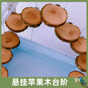 鹦鹉站台苹果木跳台站架牡丹虎皮玄凤鹦鹉原木站台休息栖息台跳板