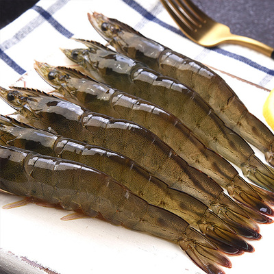 3040大虾鲜活速冻超大特大基围虾新鲜白虾对虾海捕海虾海鲜