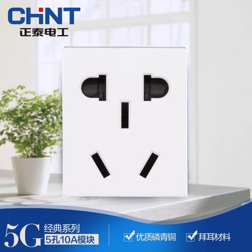 正泰开关插座118型 NEW5G系列NEW5G-10530小五孔插座带保护门插座