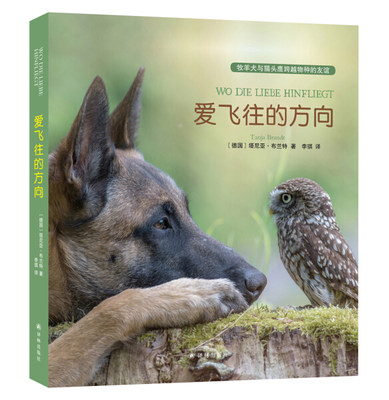 YW 爱飞往的方向 9787544773157 译林 (德)塔尼亚·布兰特(Tanja Brandt)