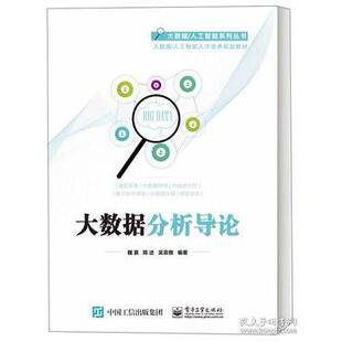 正版 大数据分析导论 9787121360220 电子工业出版社
