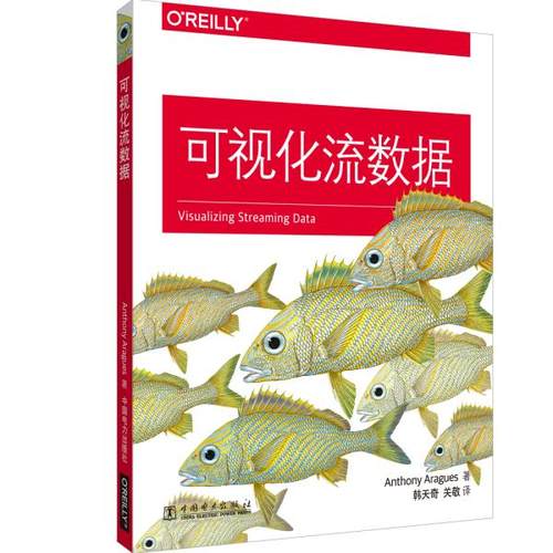 正版 可视化流数据 9787519843977 中国电力出版社