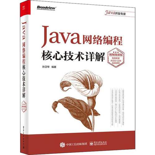 正版 Java网络编程核心技术详解 视频微课版 9787121383151 电子工业出版社