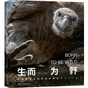 正版 生而为野 9787571028183 湖南科技出版社