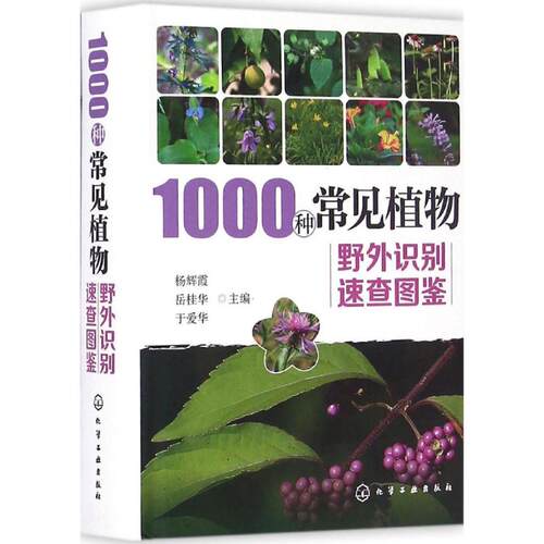 正版 1000种常见植物野外识别速查图鉴 9787122280480 化学工业出版社