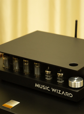 音乐精灵TP1S高品质LDAC蓝牙6P1胆机功放HIFI发烧MUSIC WIZARD