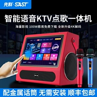 Сянке 860 Family KTV Audio Set Fabring Fringship Полная певица Порт Плата ОК ALL -IN -Один гостиная поет сенсорный экран Профессионал K Dian Dian Singing Stage Cinema Conference Conference