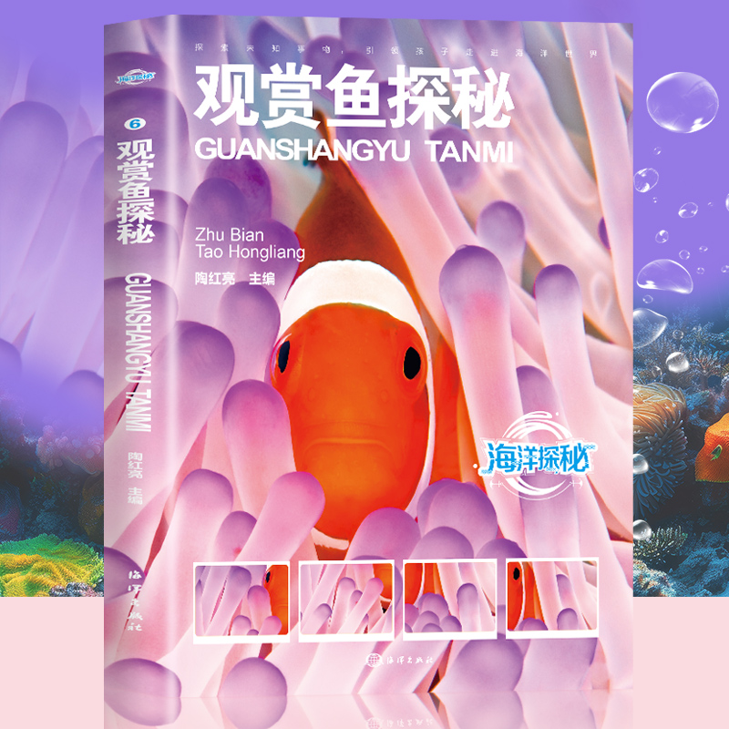 海洋探秘:观赏鱼探秘世界之大无奇不有世界之奇尽在海洋儿童海洋百科大全书关于海洋的书青少年课外阅读图说海洋海洋探秘科普读物