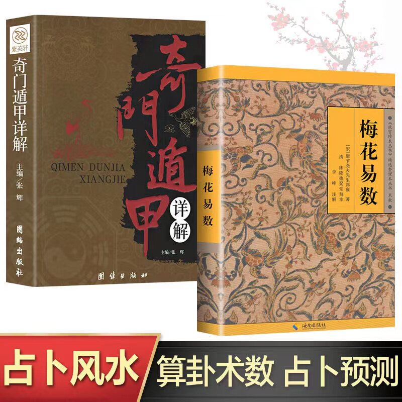 全2册 奇门书籍正版详解+梅花易数白话精解原文注释译文 易经周易全书大全周易全书易经入门故宫珍本梅花奇门遁甲中国哲学书籍