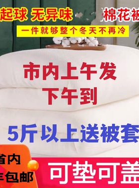 棉花被芯秋冬被子棉絮棉被冬被单人床垫加厚保暖褥子被褥铺底棉胎
