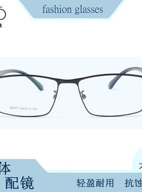 广州实体配镜不锈钢金属全框眼镜架轻盈TR镜腿经典商务镜架83017