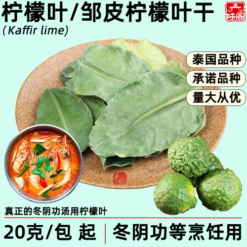泰国品种皱皮柠檬叶干冬阴功调料