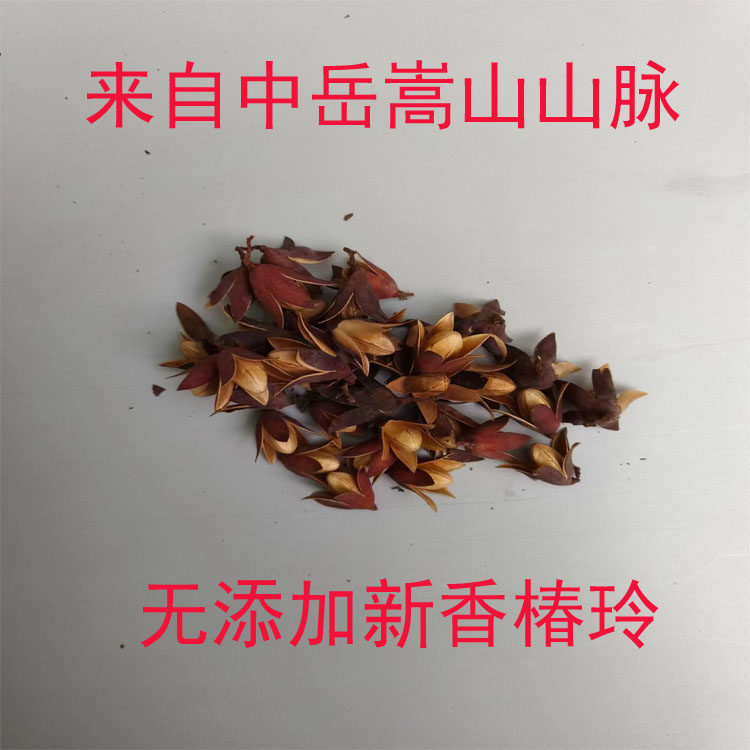 中药材 天然精选香椿子 香玲子 香椿子 椿树子 金钟子 包邮