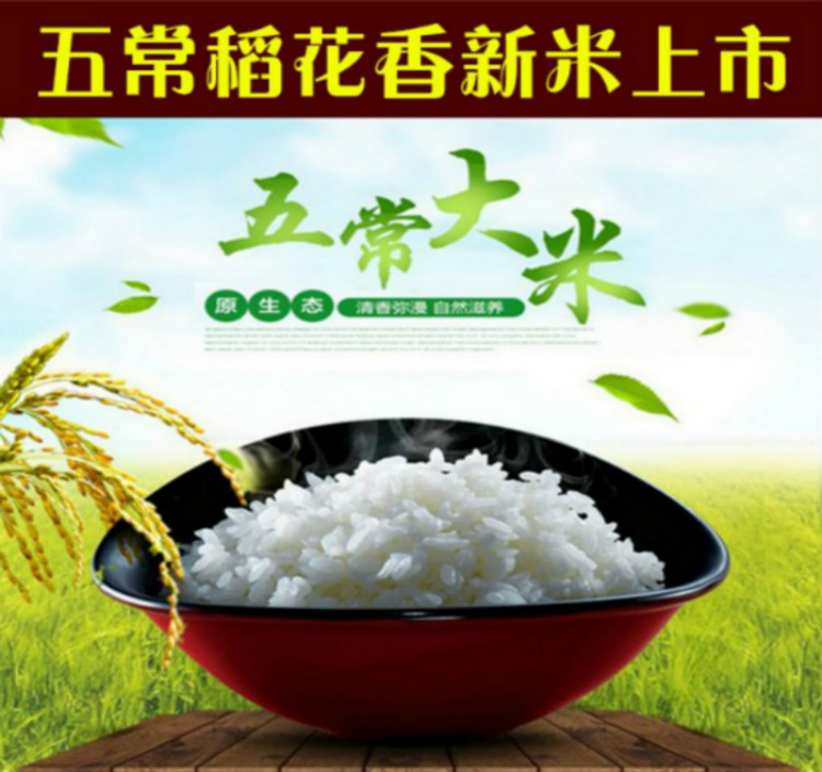 2018年新米上市黑龙江五常稻花香大米生态米非转基因nmcth83o03