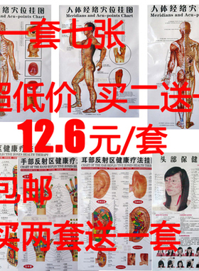 雨其琳中医经络穴位挂图7张