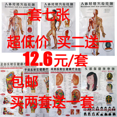 7张穴位图手足耳头全身正背侧面足底脚底反射区中医人体经络挂图
