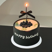 新款 黑色蛋糕模型仿真芭蕾风蜡烛水果塑胶假蛋糕定制网红拍照道具