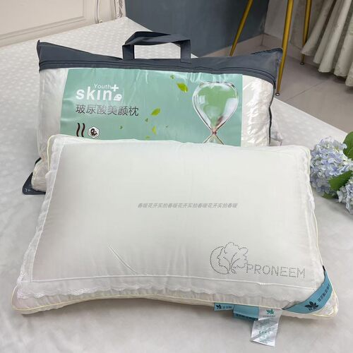 助眠成人天丝羽丝棉柔软枕芯通用