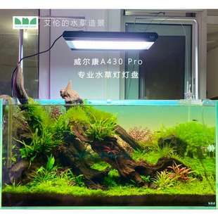 艾伦 RGBuv 水草造景 威尔康专业LED水草灯APP控制索拉青春版