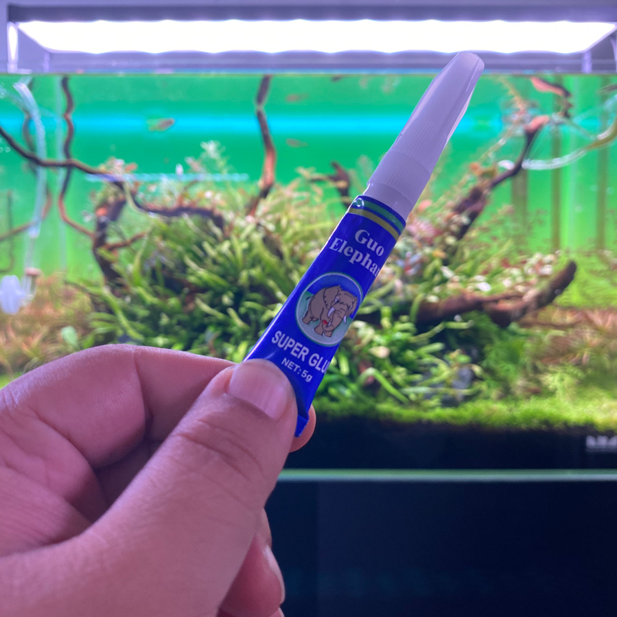 艾伦水草造景快速粘合国象骨架图片
