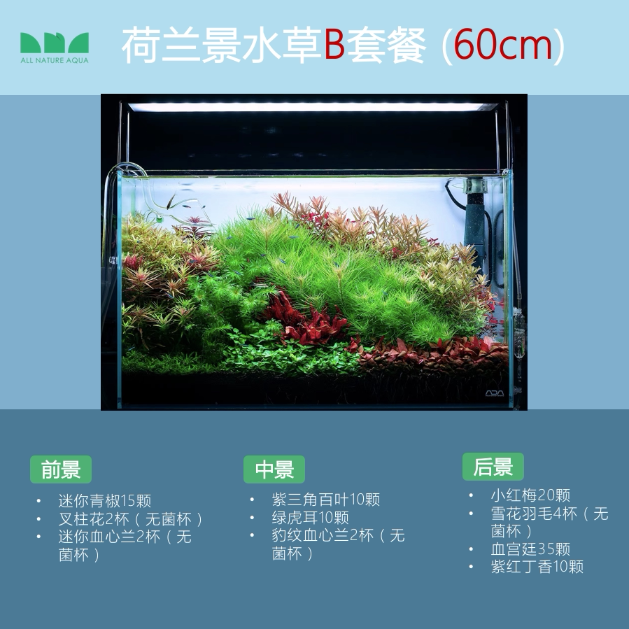 艾伦水草造景水草套餐搭配ada自然派荷兰景特价水下叶无菌杯淡水