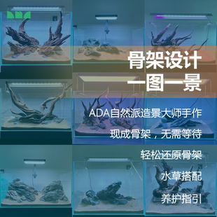 水草造景 艾伦 水草缸南美缸原生缸造景骨架设计沉木杜鹃根素材