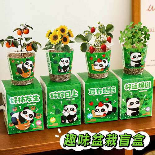 开学季儿童熊猫盲盒种植盆栽