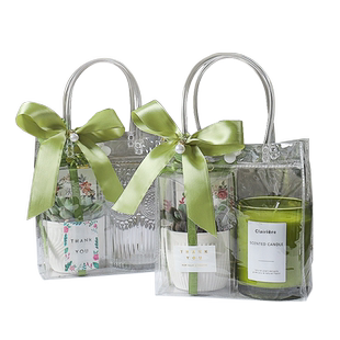 妇女节礼物高级感小众多肉实用生日幼儿园小礼品送女神节伴手礼