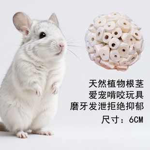 6厘米生态植物根茎磨牙球 龙猫豚鼠兔子磨牙玩具解闷玩耍健康发泄