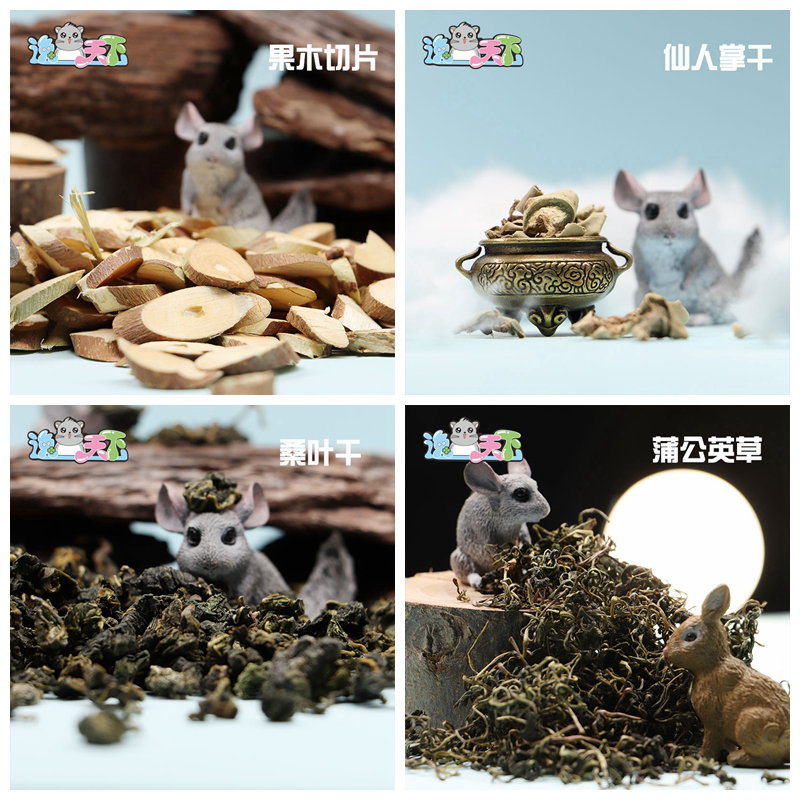 69中国龙猫俱乐部小食试吃蒲公英