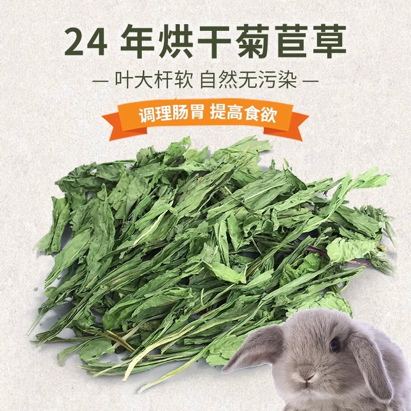25年烘干菊苣草兔子龙猫牧草