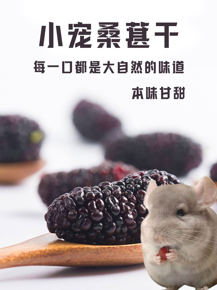 逸宠｜龙猫零食无沙桑葚干兔子 100克 改善毛发口感微甜小宠很爱