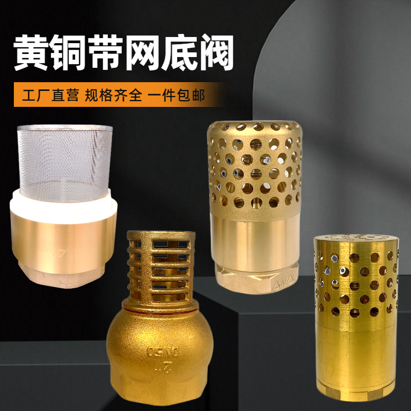 全黄铜不锈钢底阀带过滤网水泵底阀弹簧逆止立式止回阀井底洗衣机