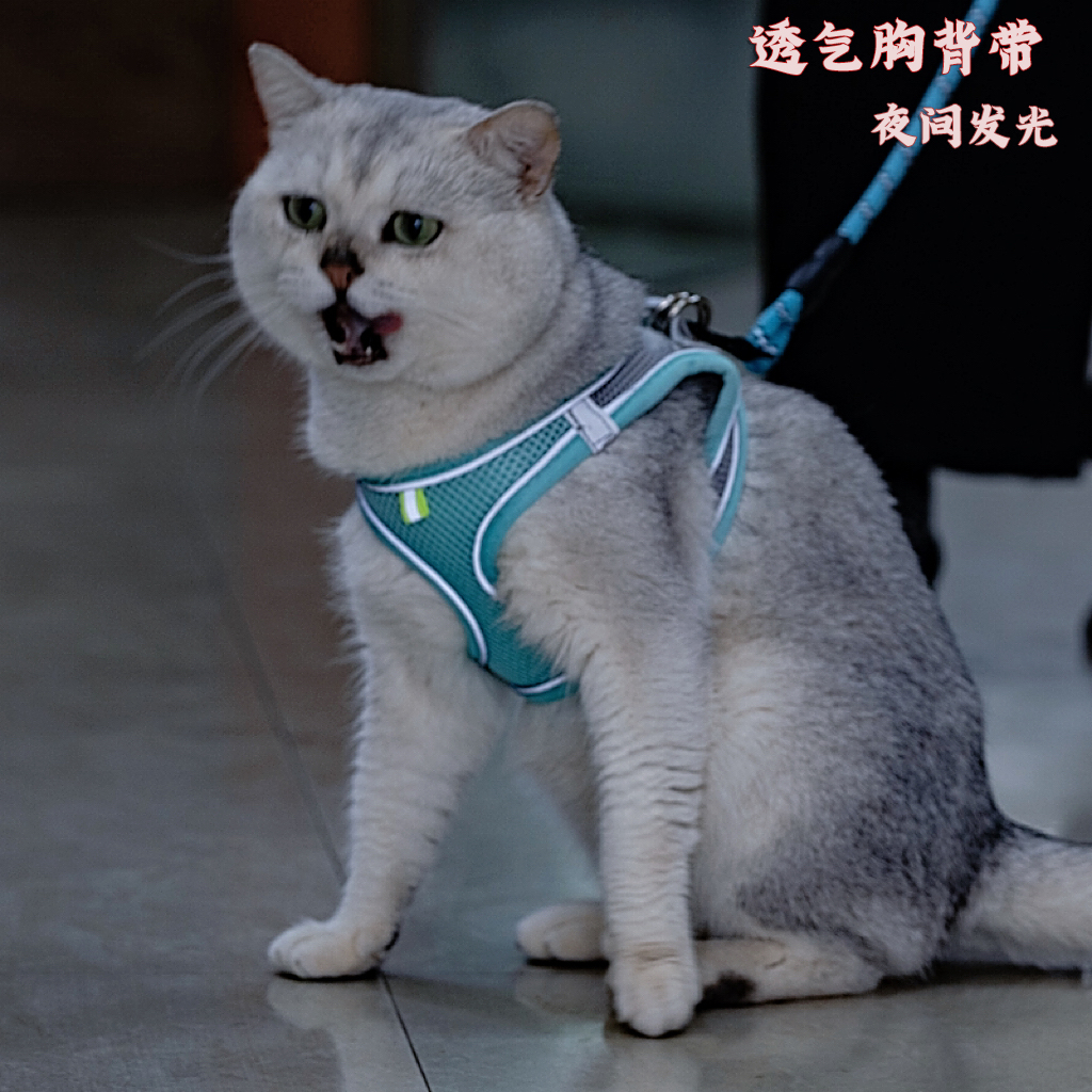 狗狗猫咪牵引绳可调节背心式网纱透气胸背带宠物遛狗绳防丢狗链子