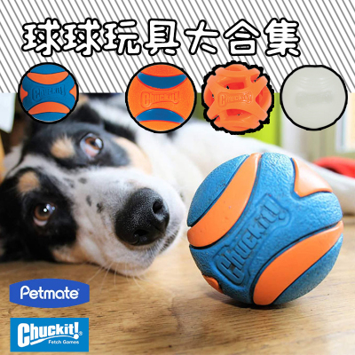 美国petmate宠物玩具球狗狗耐咬磨牙发声夜光橡胶球