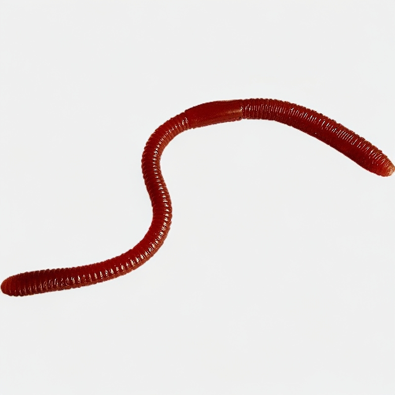 仿真蚯蚓整蛊恶作剧吓整人吓一跳玩具动物模型软胶钓鱼假饵料昆虫