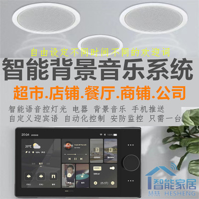 感应迎宾智能商铺背景音乐主机