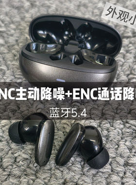 ANC主动降噪ENC通话降噪5.4蓝牙耳机真无线入耳式运动山进Blues01