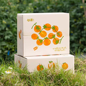 广东创果橙也栀子小甜番圣女果小番茄柿子新鲜采摘 产地下雨