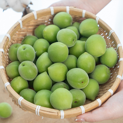 【已下架】漳州高山青梅肉厚核小高酸泡酒盐渍小众水果新鲜采摘