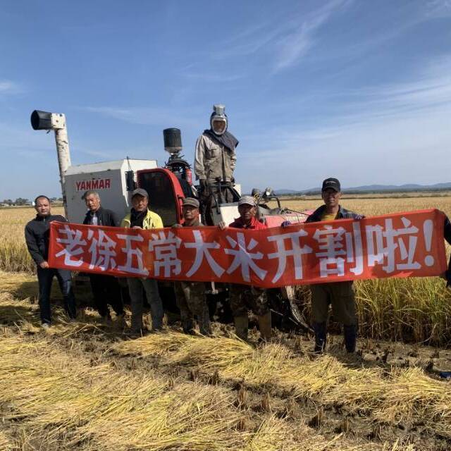 2025五常大米现磨稻花香