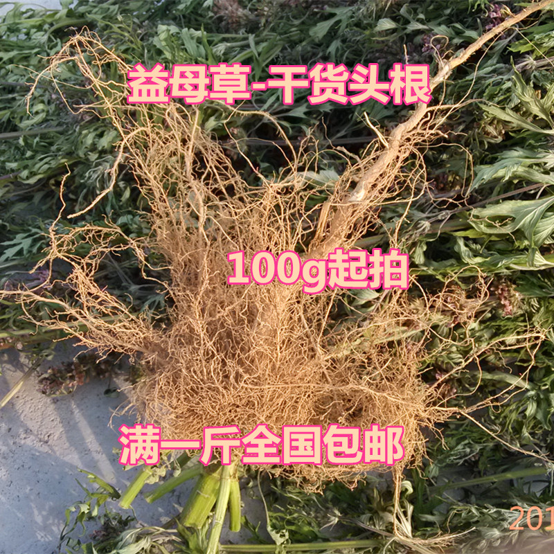 满1斤包邮野生益母草干头根须产后月经调理野生益母草茶100g起拍