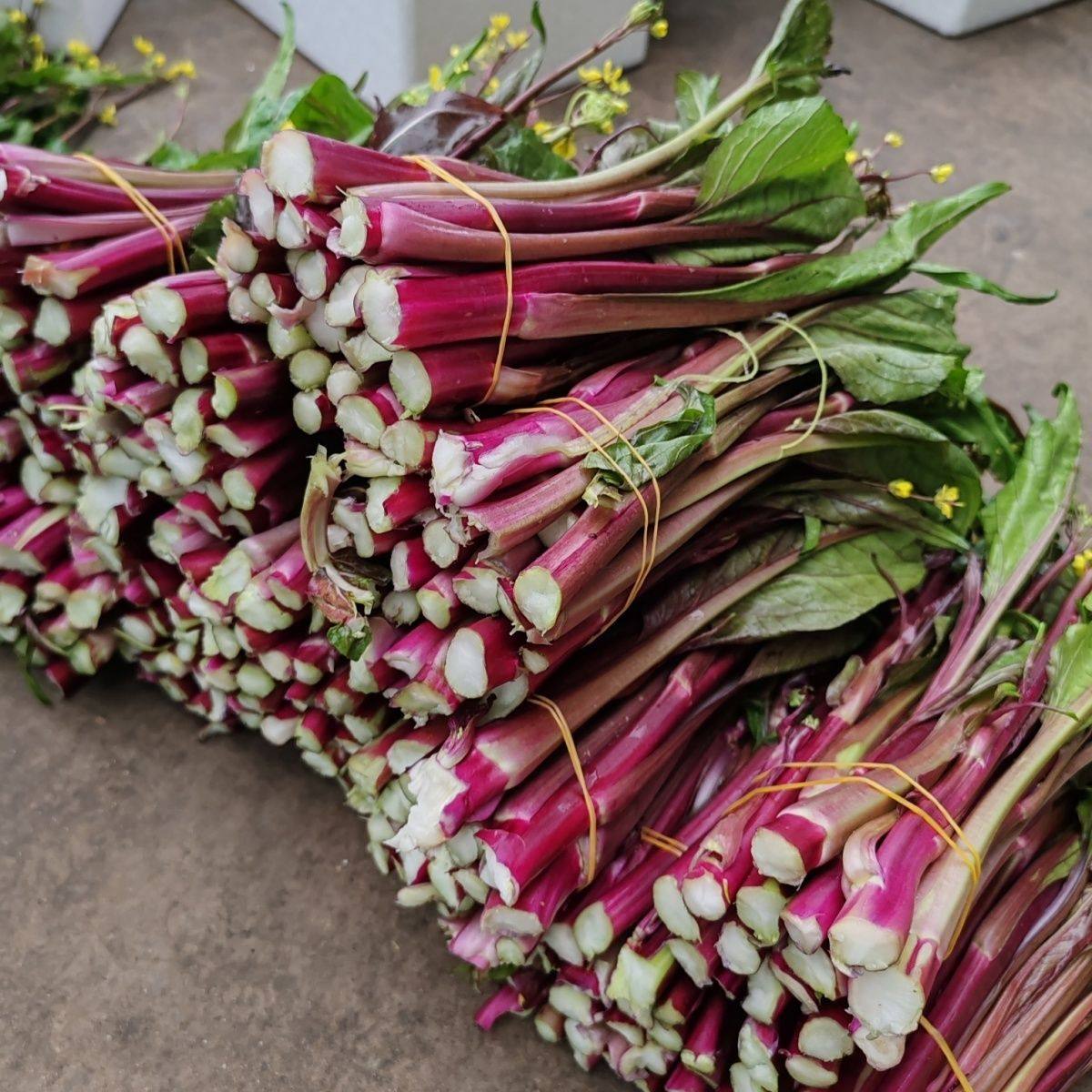 湖北红菜苔新鲜脆嫩农家蔬菜带叶青菜当季菜心时令紫菜薹菜台现摘,水产肉类/新鲜蔬果/熟食,叶菜类,淘宝优惠券,粉丝福利购,淘宝优惠卷