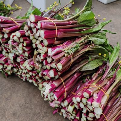 湖北红菜苔新鲜脆嫩农家蔬菜带叶青菜当季菜心时令紫菜薹菜台现摘