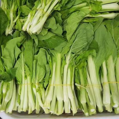 湖北农家新鲜白菜薹白菜苔绿菜苔心蔬菜现摘现发菜心菜花带叶青菜