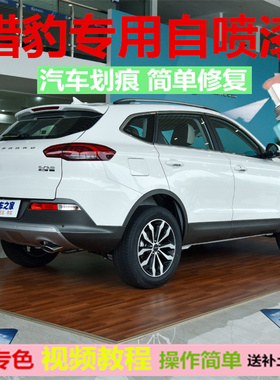 猎豹cs10cs9汽车补漆笔迪拜金划痕修复白色自喷漆油漆笔修补黑色