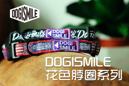 dogismile宠物脖圈狗狗项圈宠物项圈套装猫狗通用