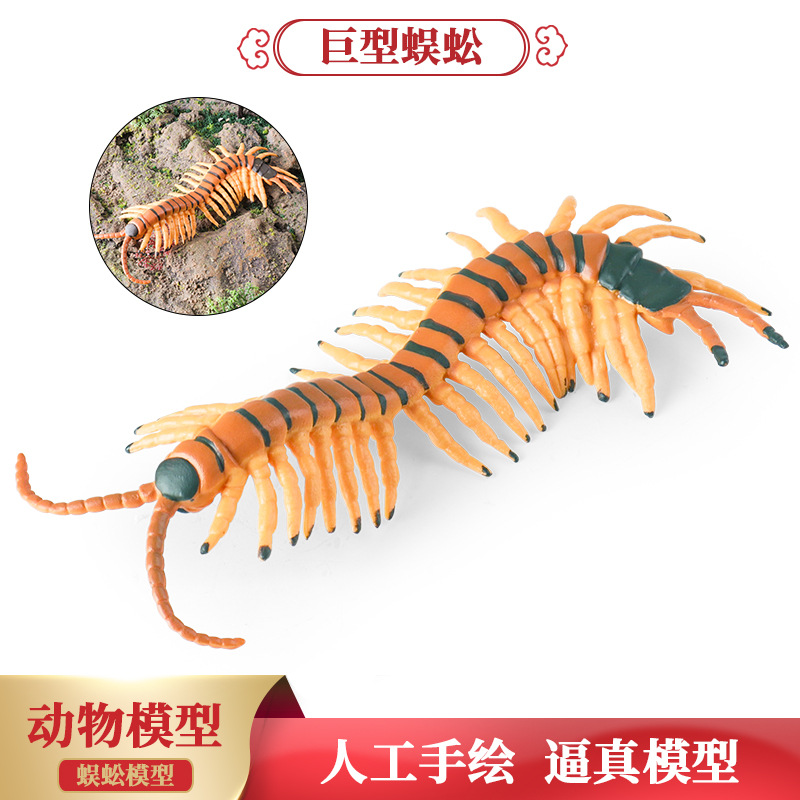 儿童认知动物仿真模型爬行昆虫蜈蚣男女孩玩具桌面摆件万圣节整蛊