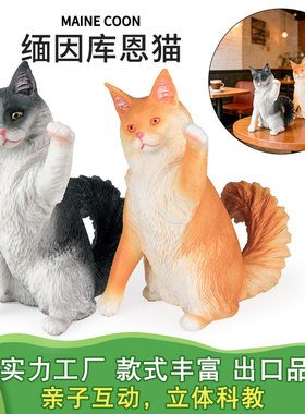 跨境仿真实心动物猫咪模型缅因库恩猫田园猫布偶猫索马里猫猫物语