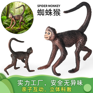 实心动物模型仿真蜘蛛猴猴子黑猴灵长类猴科儿童动物玩具桌面摆件